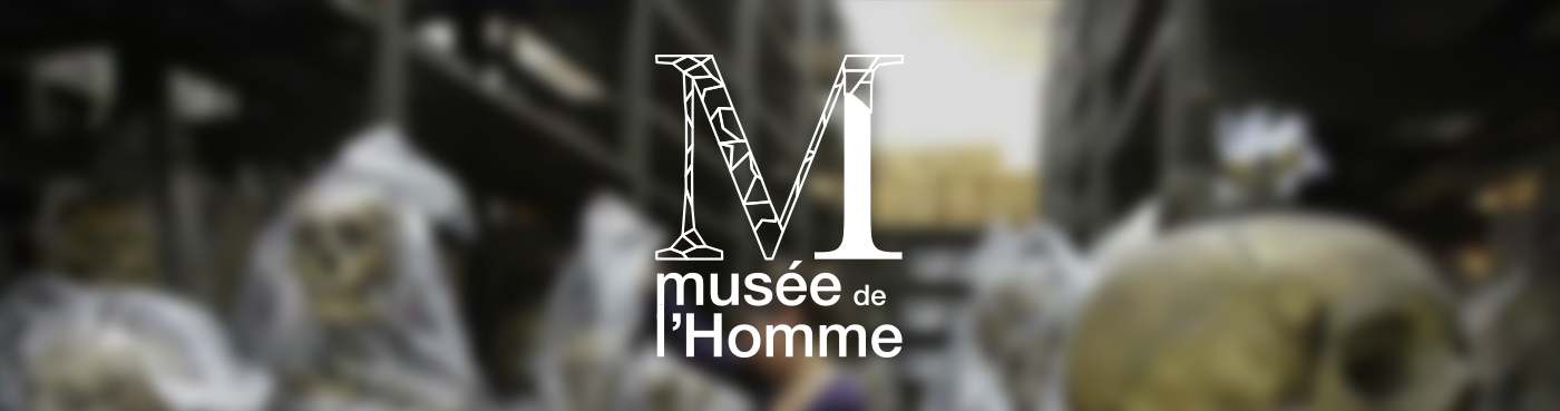 logo museum musée lowframe wireframe persona mock up webapp