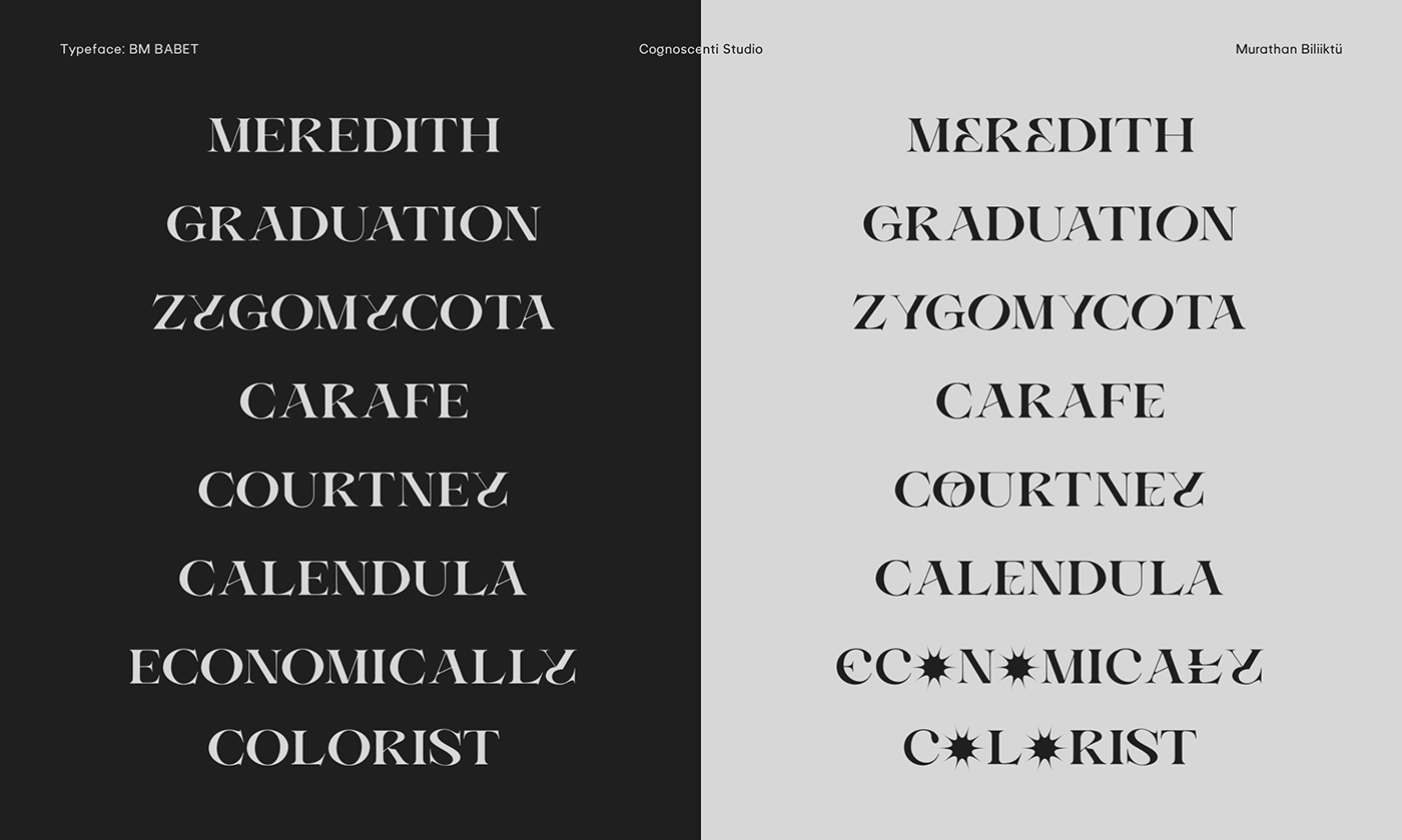 brand branding  Classic editorial font logo serif type type design typography  