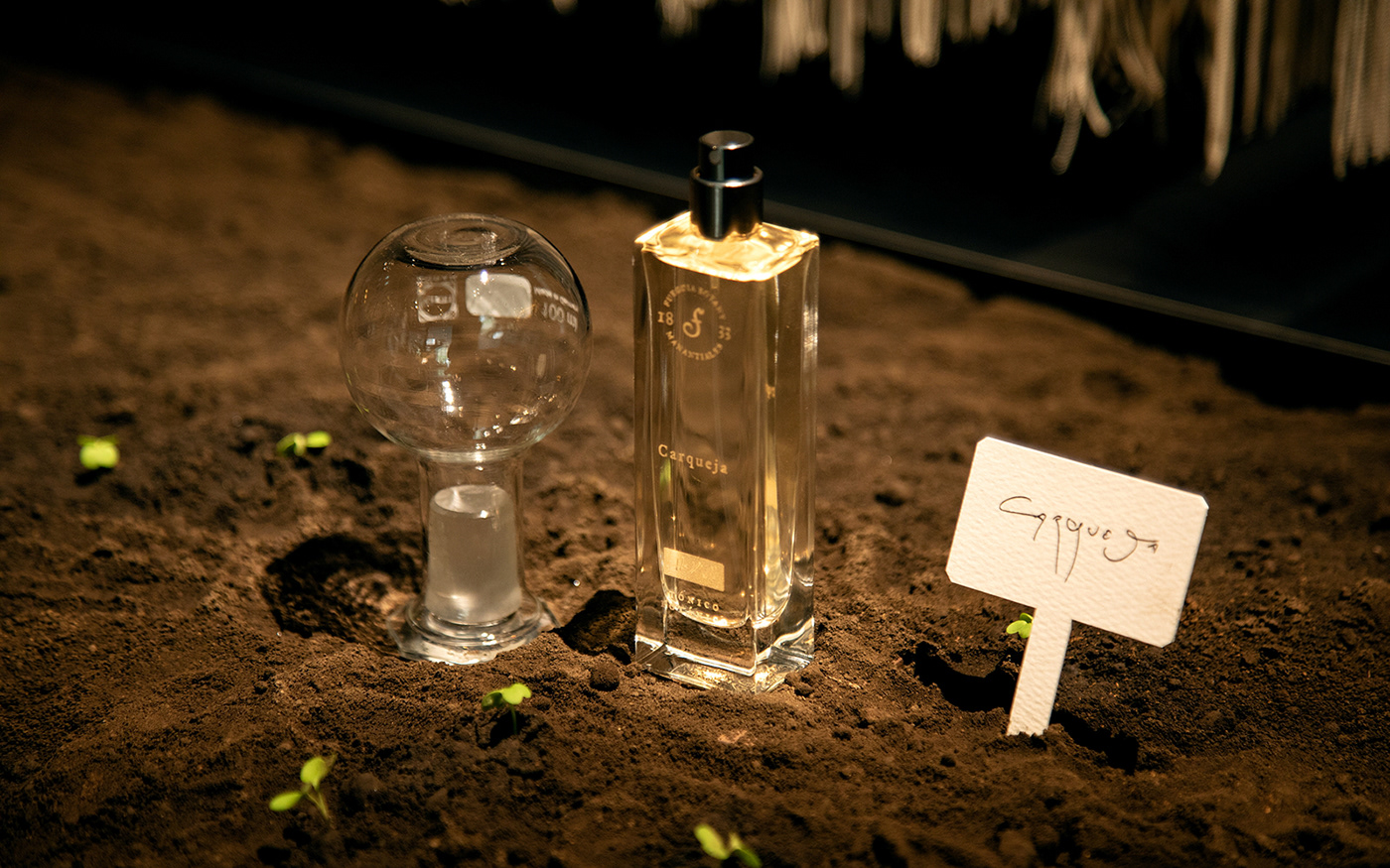 branding  Display display design exhbition exhbition design Fragrance gallery luxury Popup tokyo