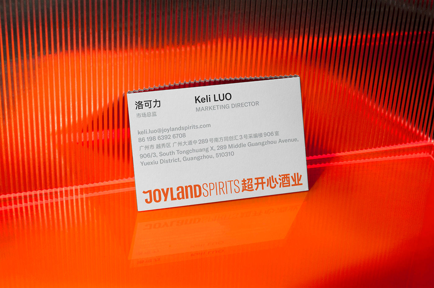 alcohol bilingual branding  Corporate Identity happy type design typography   pocca zhihua duan