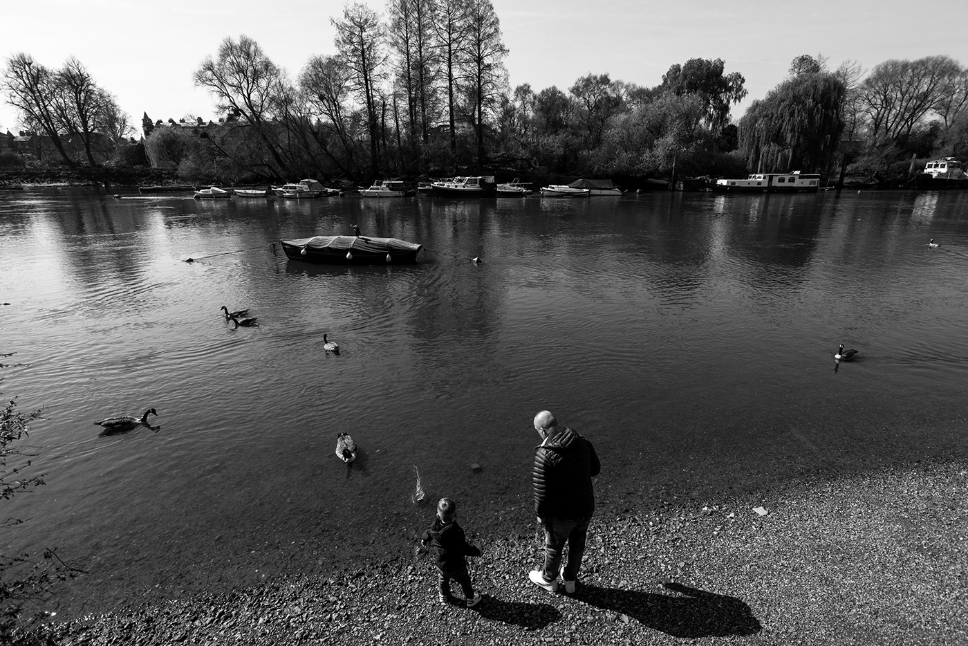 Boats London london photography photographer Photography  Richmond river boats Shane Aurousseau thames river travel photography