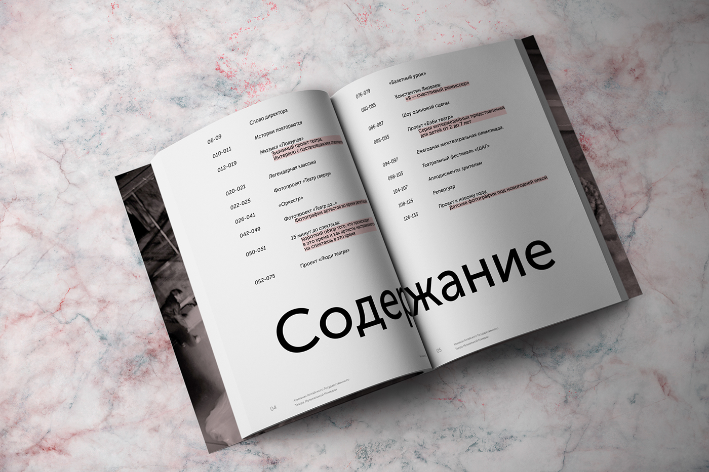 #magazine #book #Theater #pink #photo #typography #diploma  #books  #almanac #music