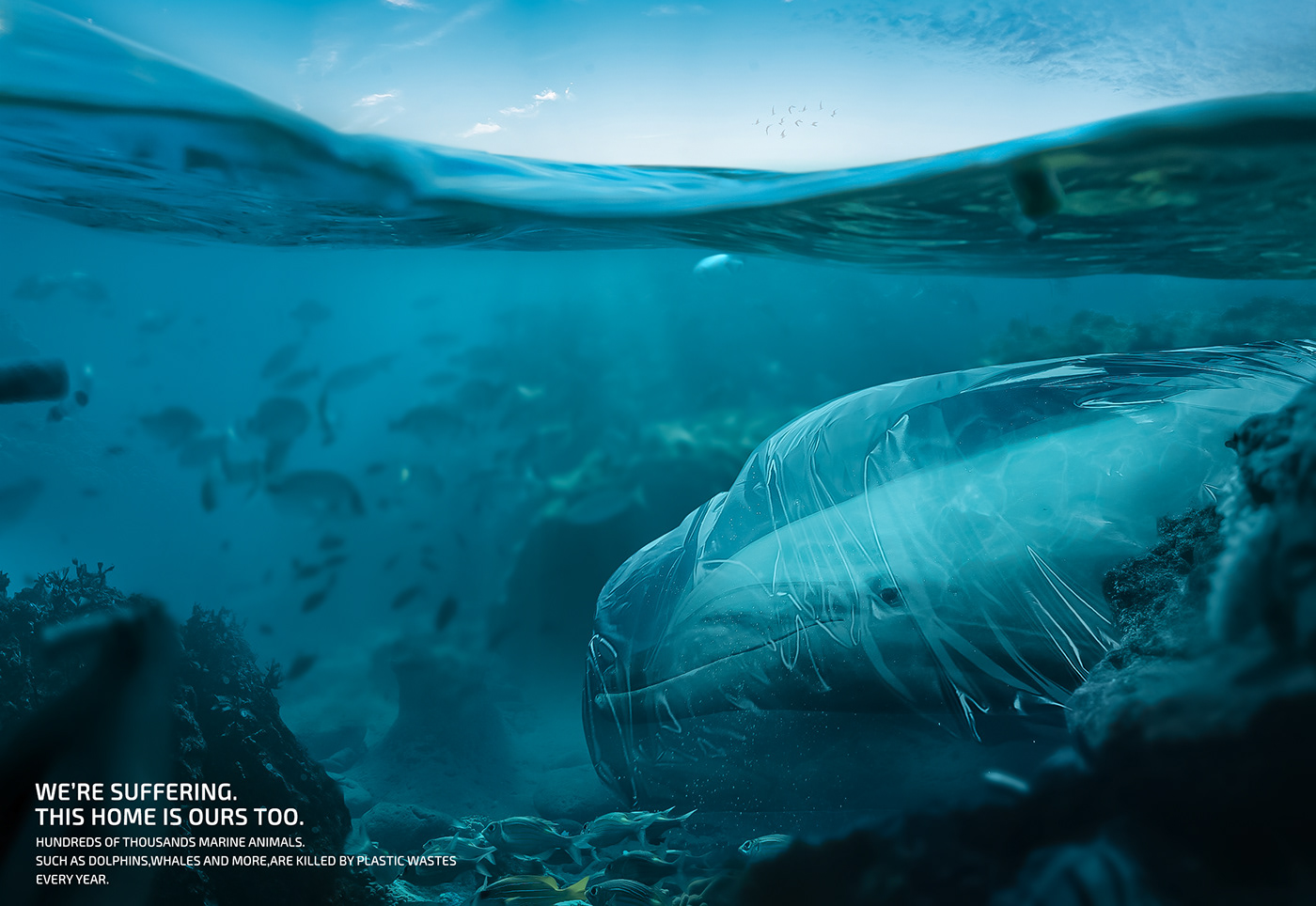 adobe photoshop ads WFF water plastic Ocean whales marine Socialmedia