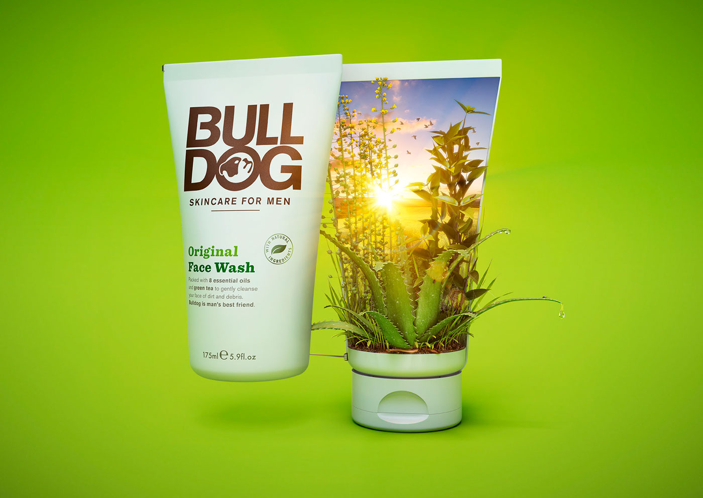 plants CGI skincare cream bulldog green beauty ILLUSTRATION  digital print art