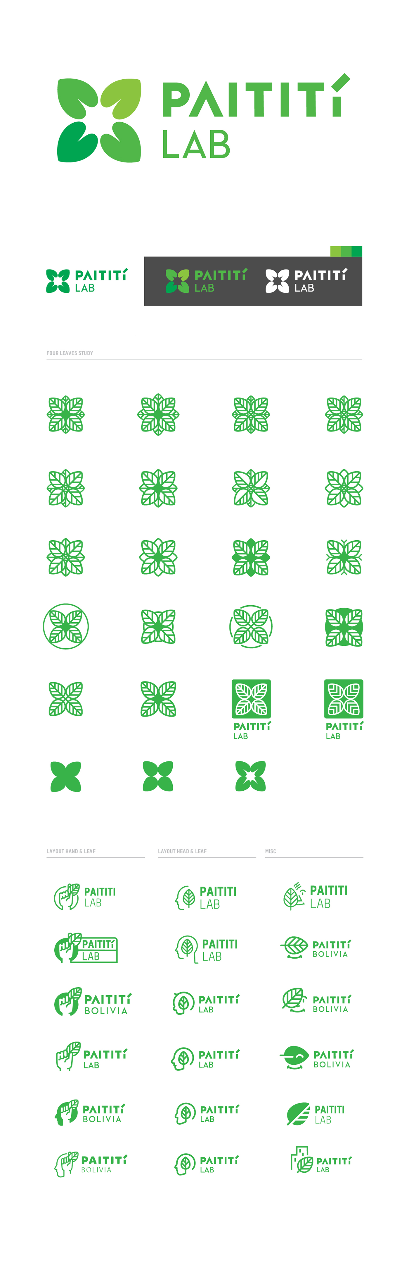 logo vector graphic design  branding  brand leaf leaves crest Logotype process