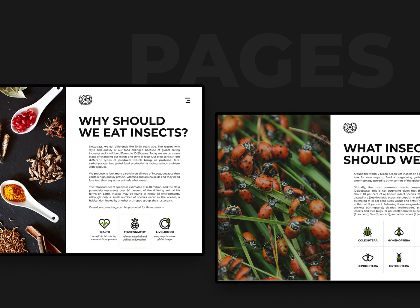 Food  ants UI ux Web design green desktop eat Health
