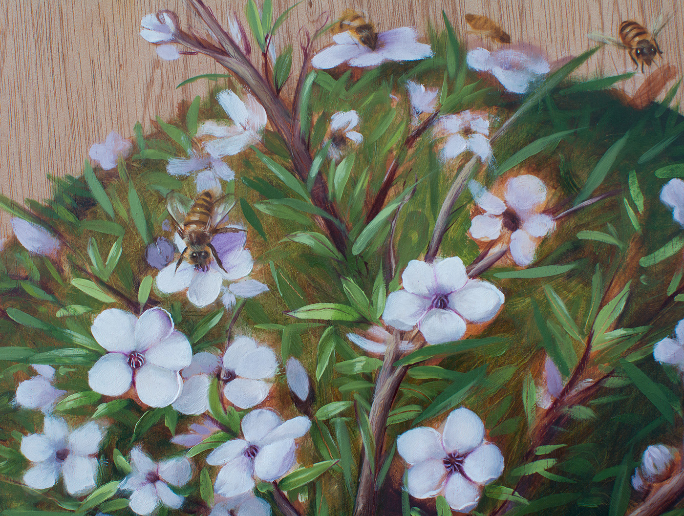 popsurrealism painting   oilpainting Nature New Zealand birds bees Manuka ILLUSTRATION  Flowers