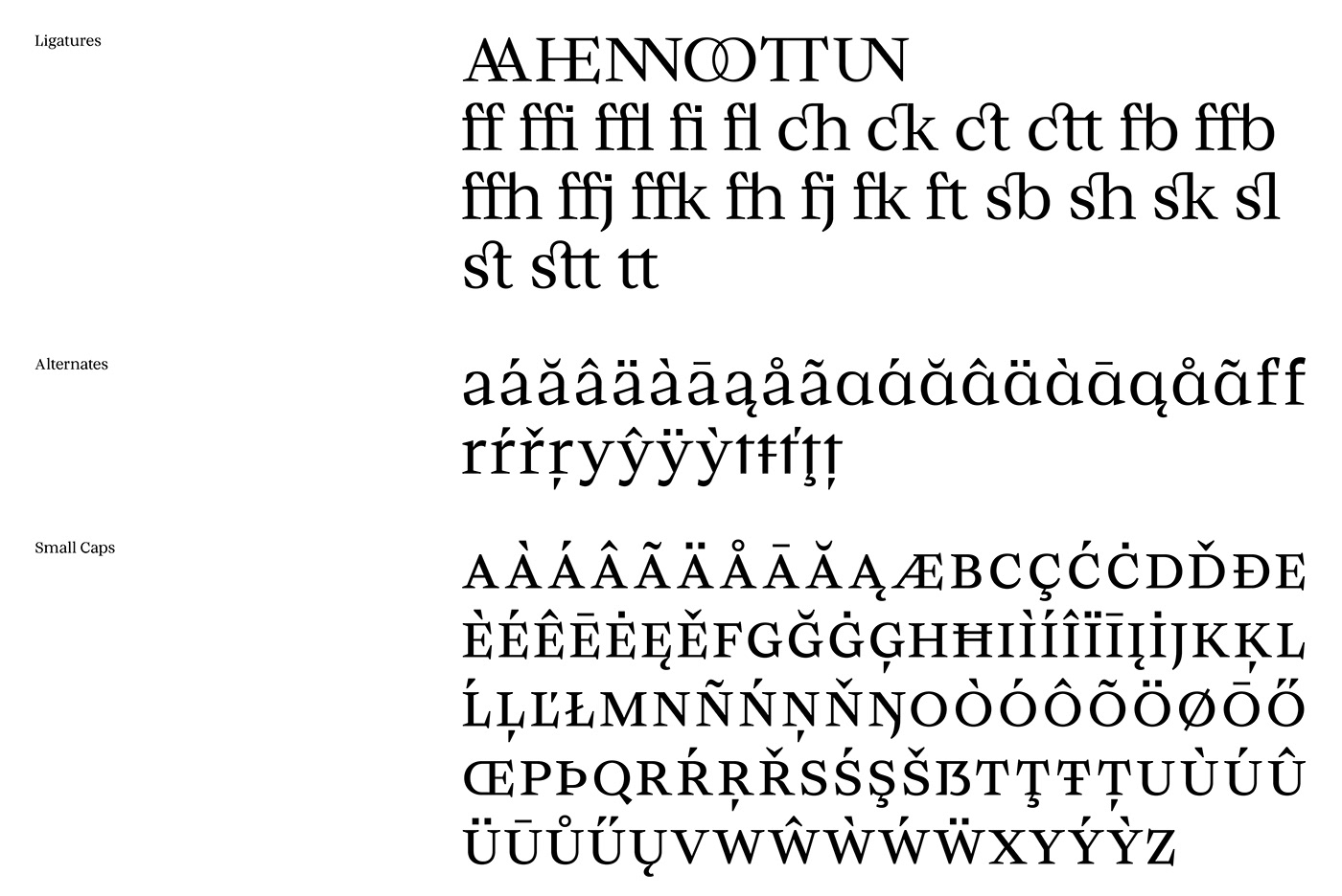 contemporary type graphic design  serif serif typeface  type type design Typeface typography  
