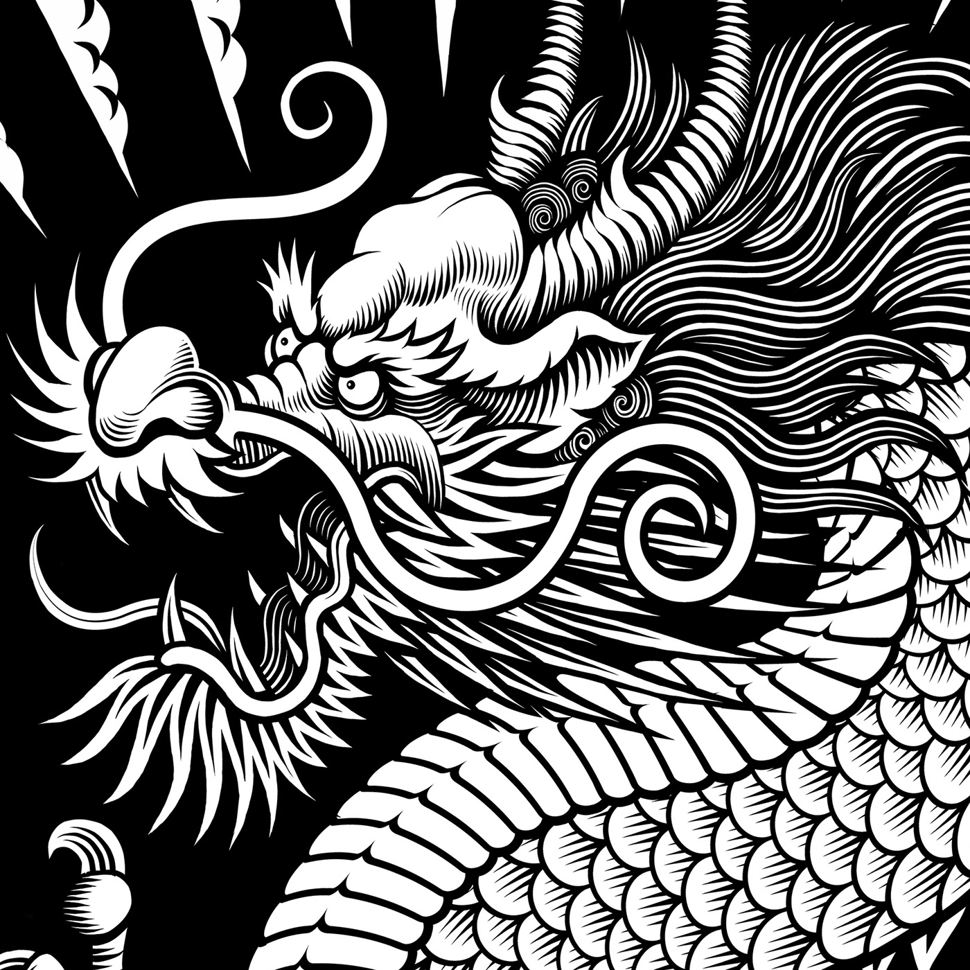 scarf dragon chinese dragon vector Scales animal mythology