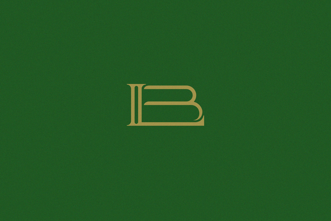 brand identity graphic design  ILLUSTRATION  imagen corporativa lettering logo Logo Design monogram typography   vector