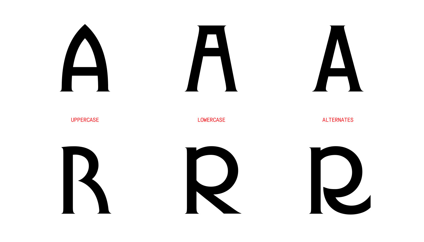 typography   Variable Font type design expressive serif typeface  sans distinctive versatile