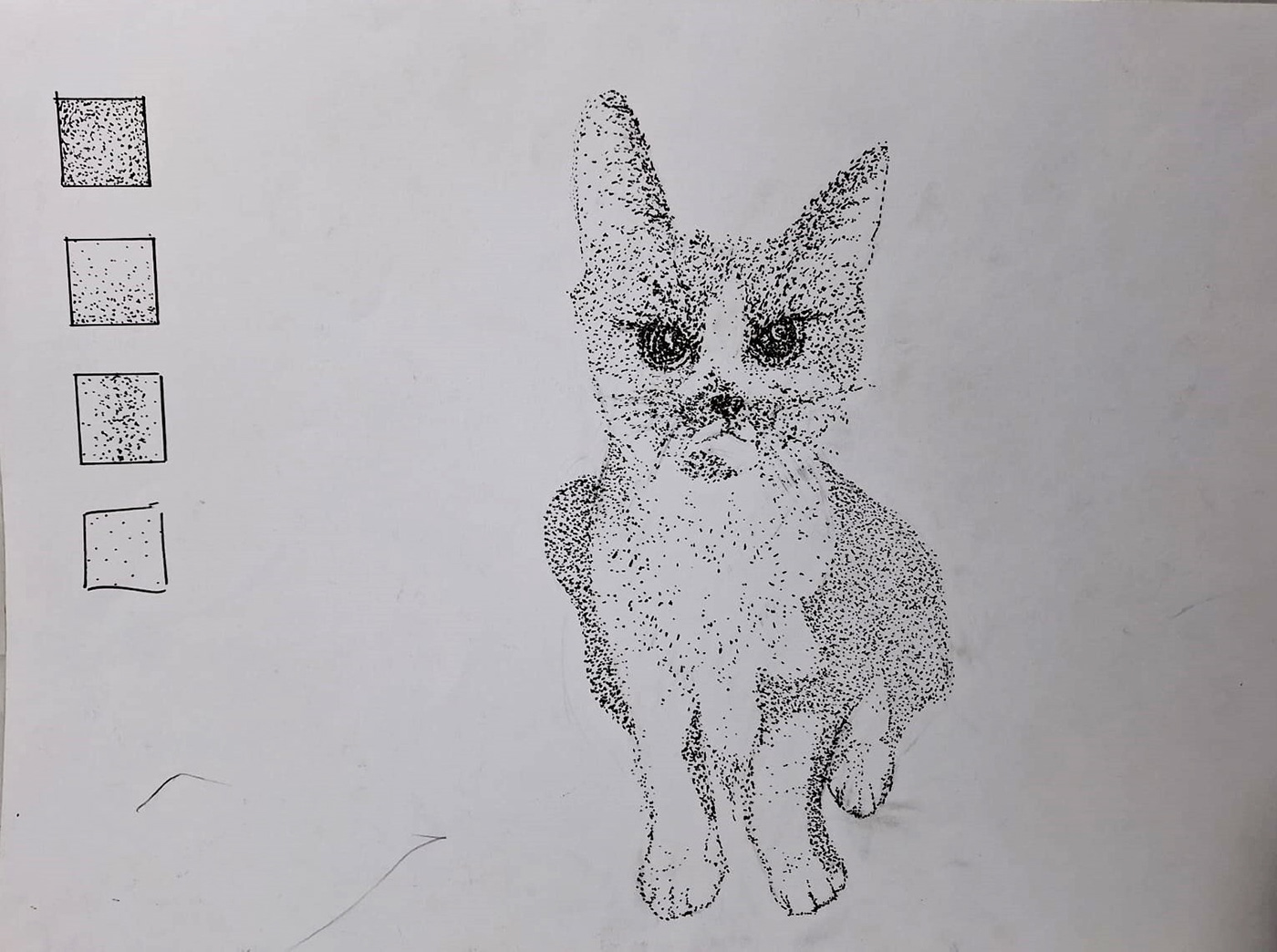 Drawing  artwork Cat cats cat illustration ILLUSTRATION  sketch