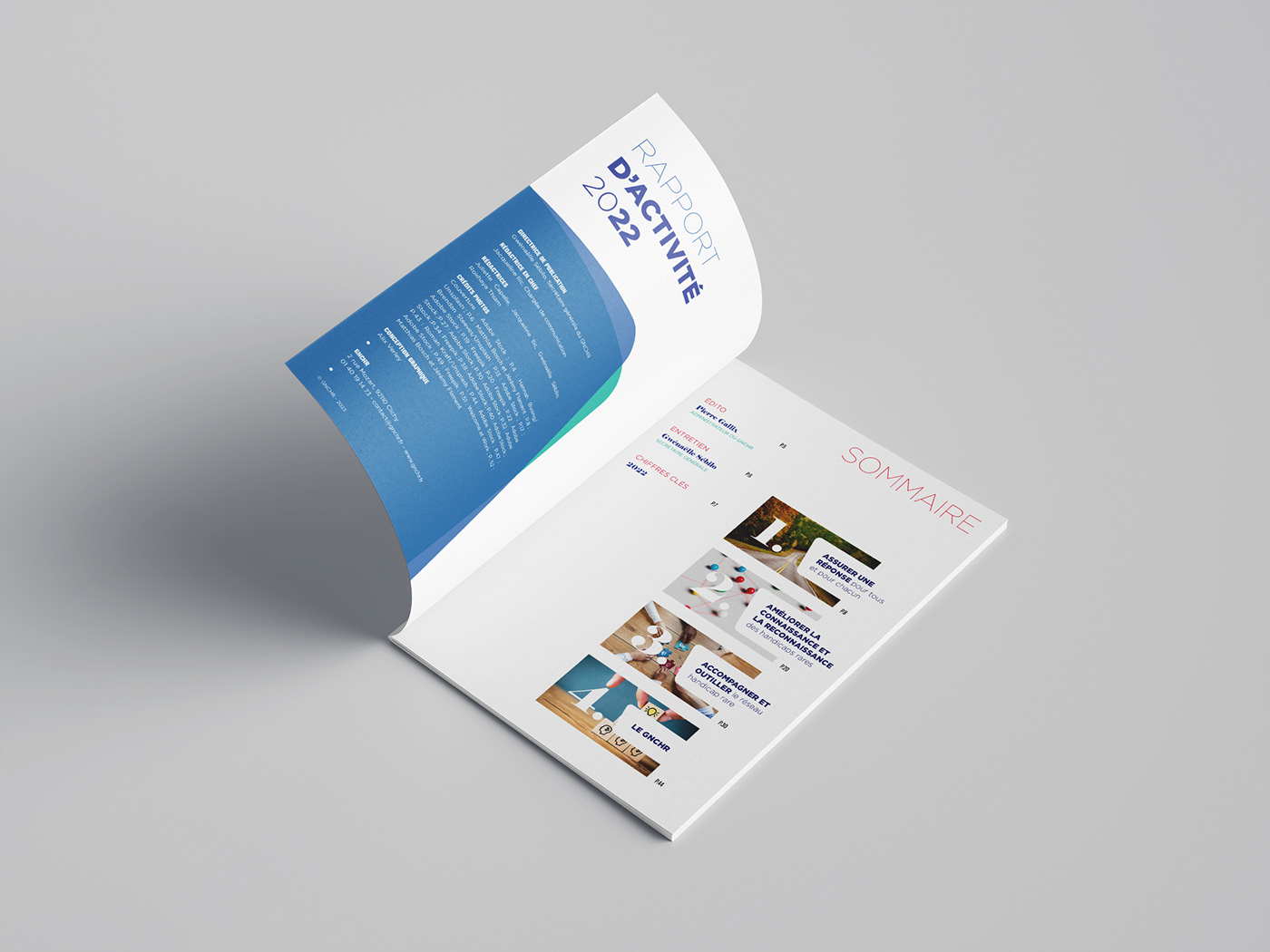 annual report Annual Report Design report design print Layout editorial handicap disability print design  Accessibility
