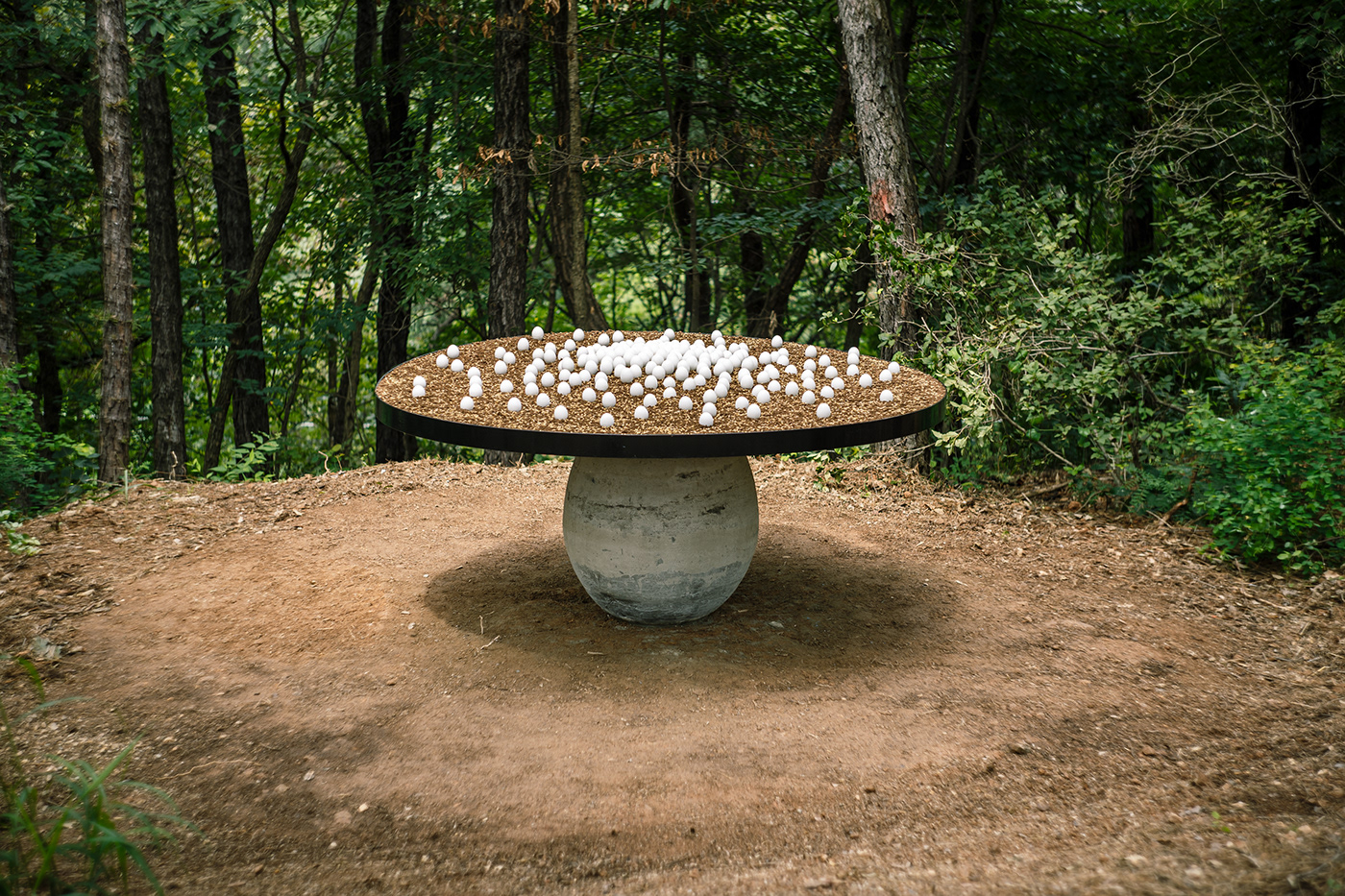 art nature art land art Biennale South Korea artist artwork Outdoor installation Installation Art Outdoor Art
