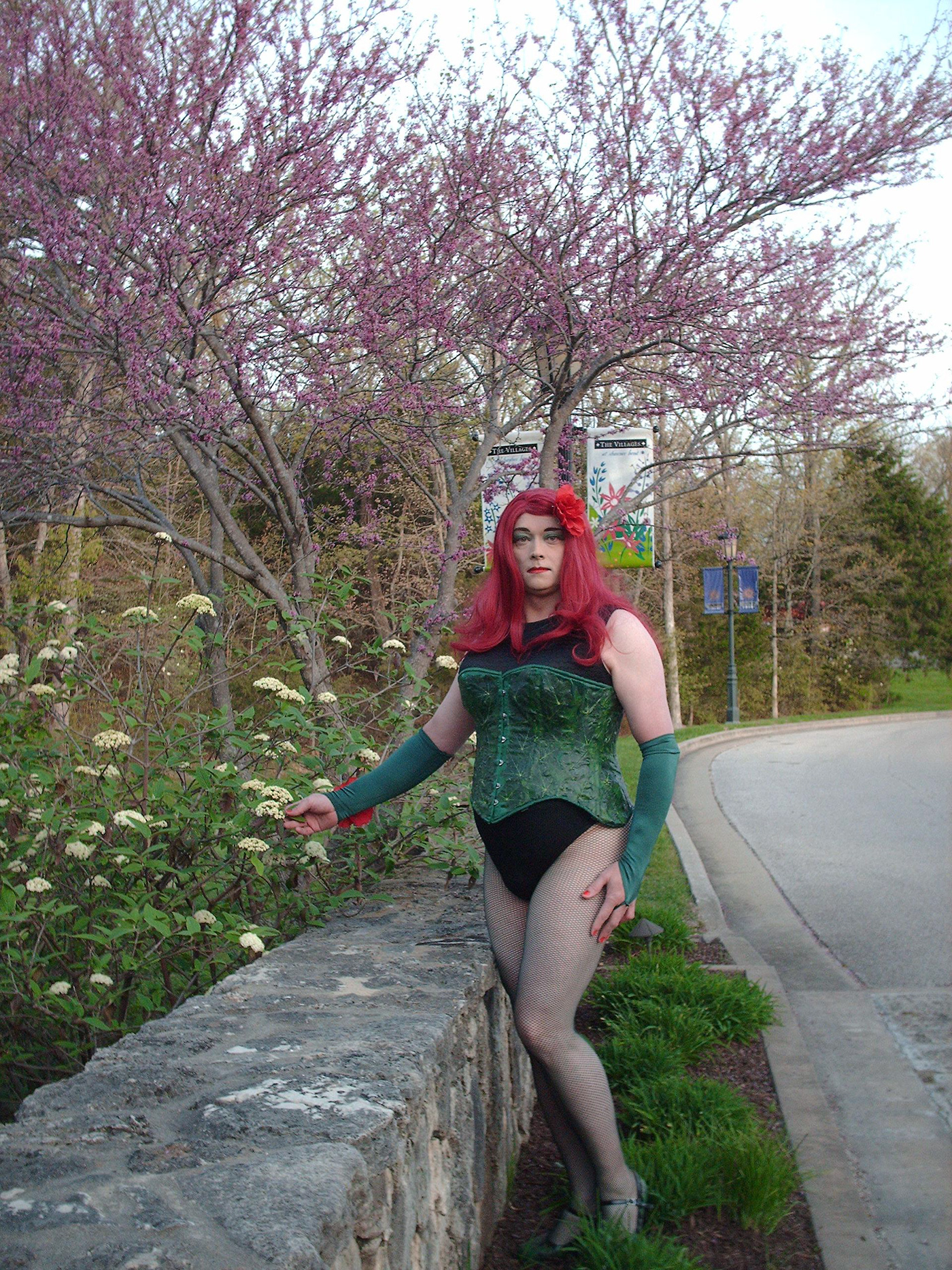 Cosplay crossplay poison ivy batman Dc Comics spring fishnets Park trees redheads