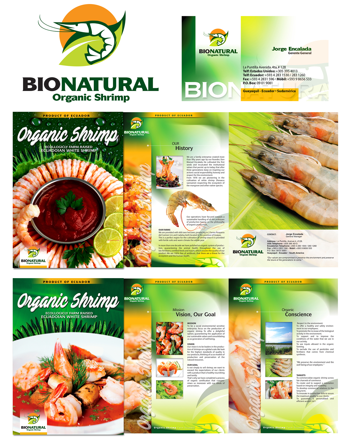logos brochure organic organic shrimp packing Ecuador Food  desing product