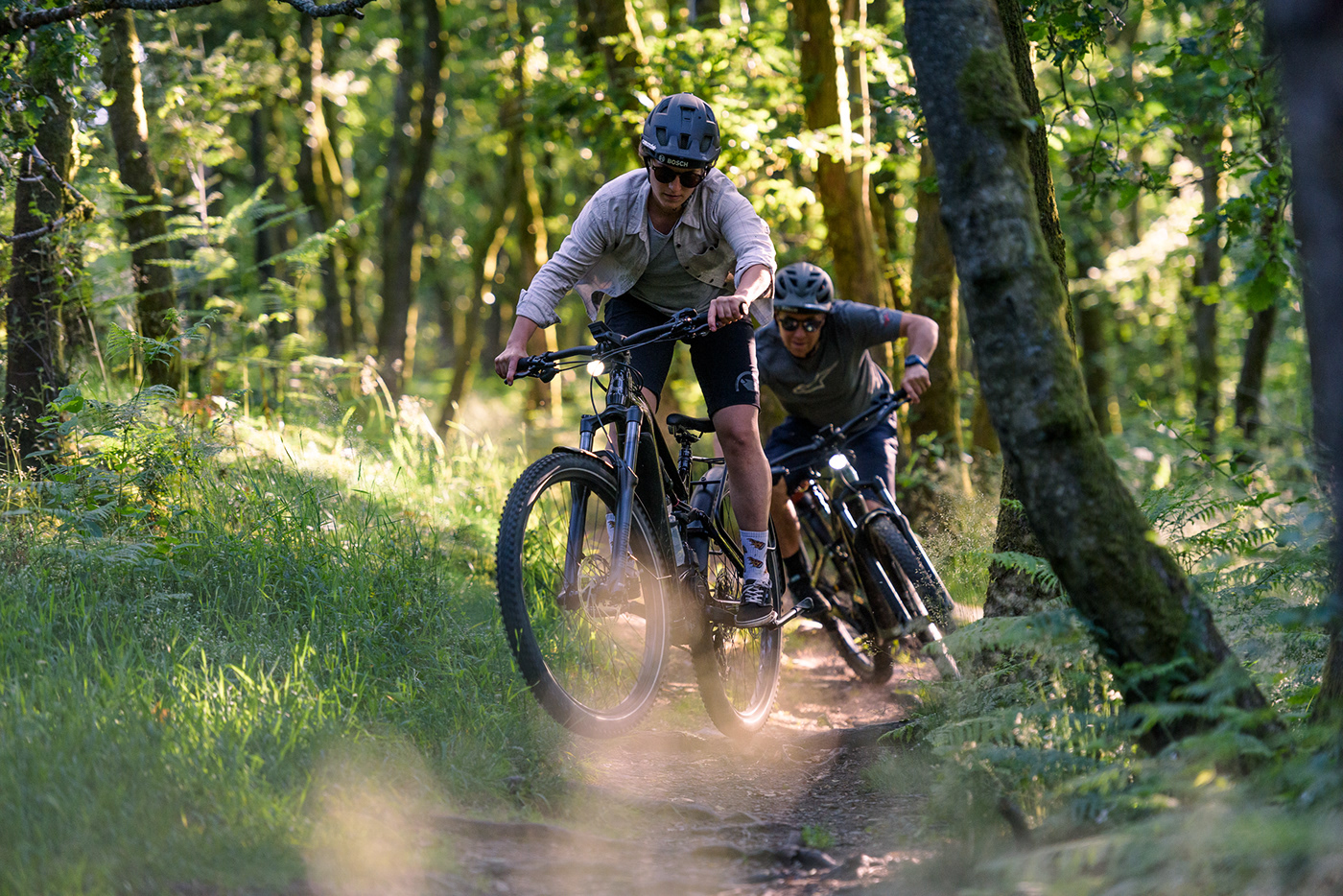 action Bike Cycling Landscape MTB Nature sport Vosges VTT