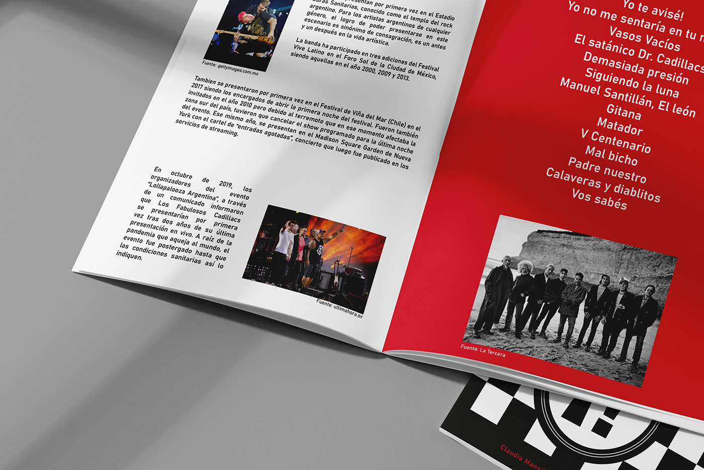 bandas musicales  colección Diseño editorial fanzine latinoamerica Producción Gráfica