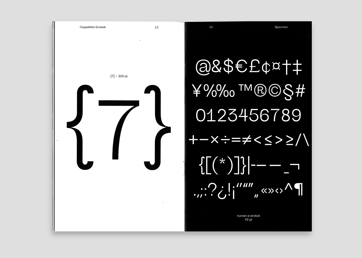 editorial editorial design  font identity Layout specimen type type design Typeface typography  