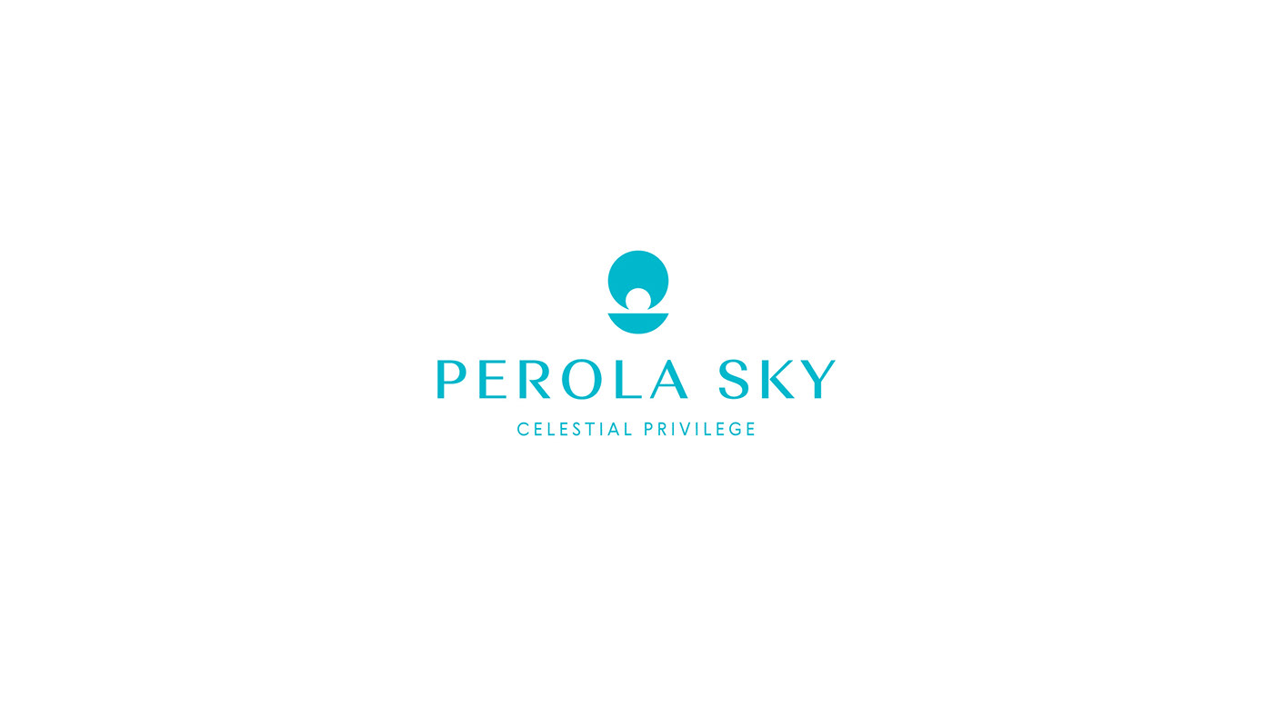 airplane aviation brand identity business jet pearl SKY Travel turquoise typography   visual identity