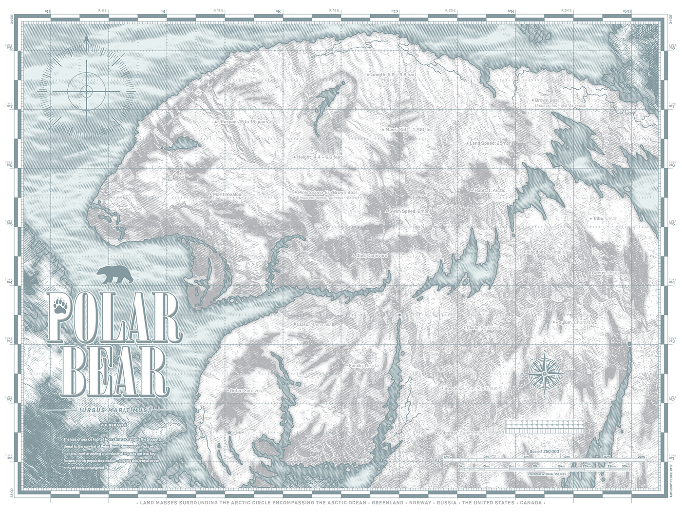 animal atlas cartography maps Charts Polar Bear great white shark Golden Toad poster