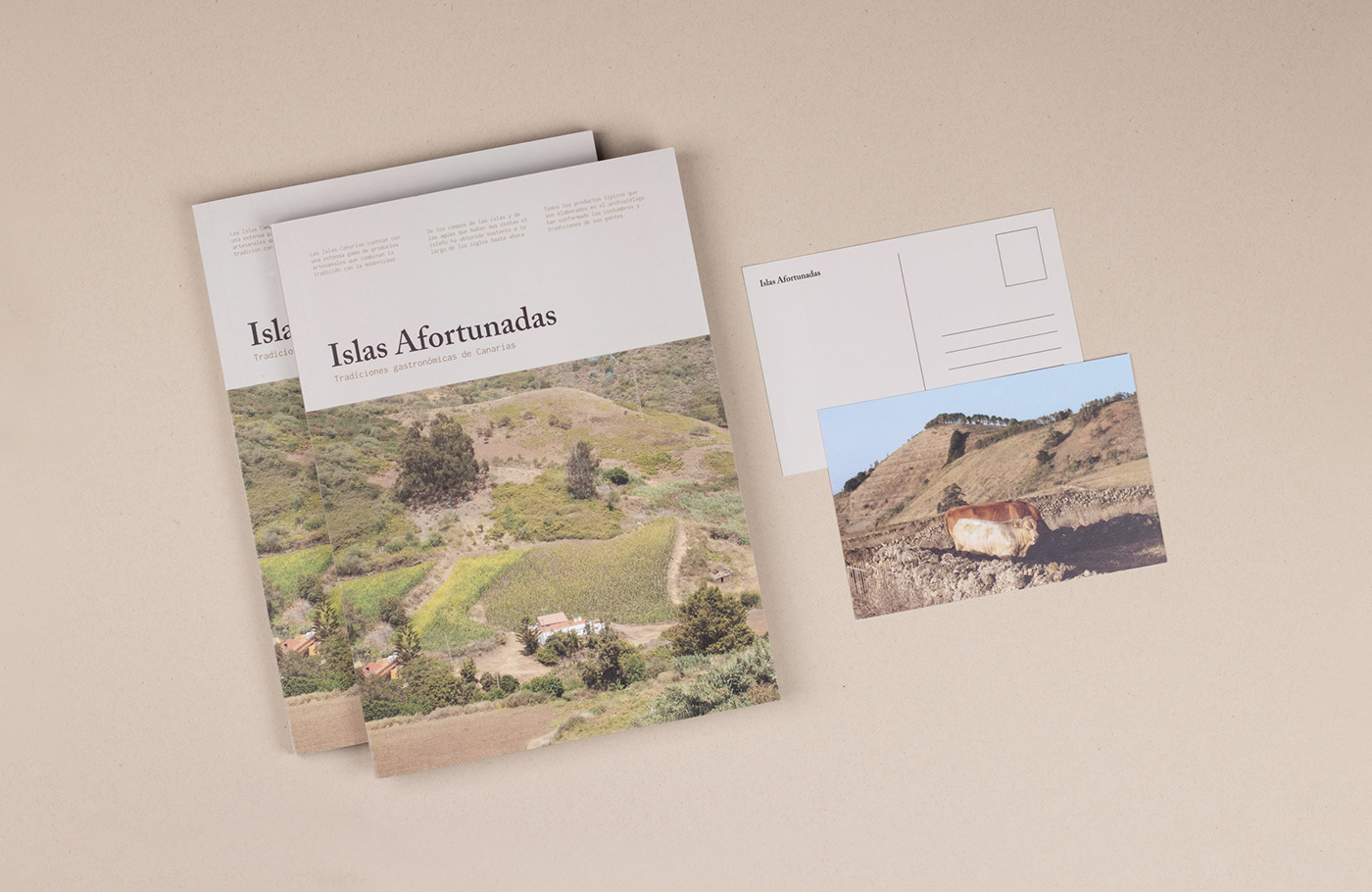 editorial graphic design  Photography  art direction  canary islands research book publication spain