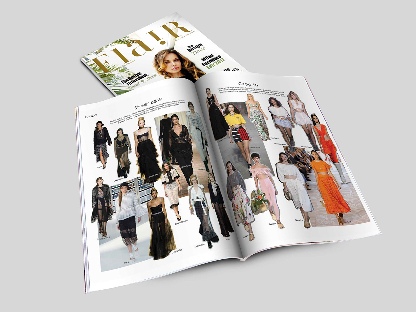luxury Fashion  magazine flair art design