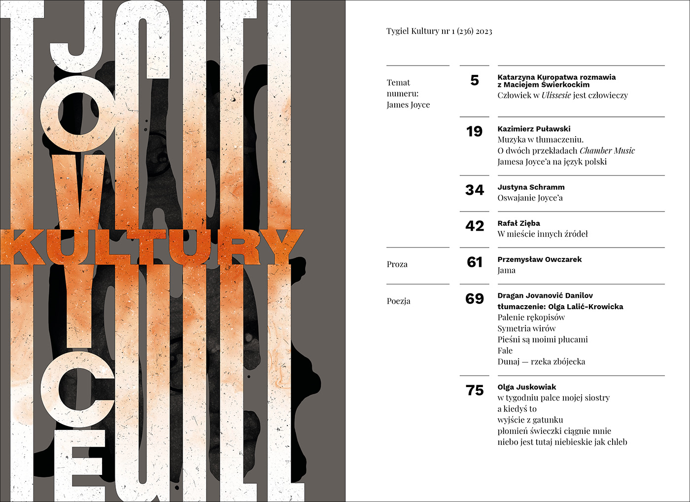 literature culture magazine łódź editorialdesign Layout typography   cover jamesjoyce