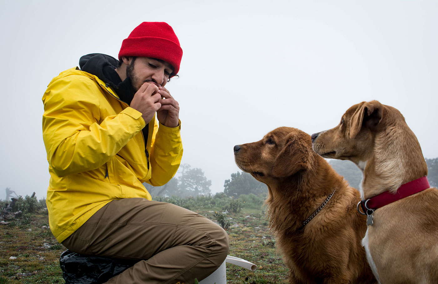 outdoors mountain Landscape dog fog Hike hiking camping coffe