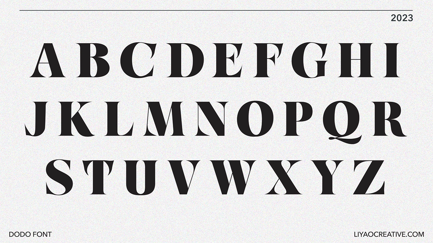 font fonts font design typography   brand identity Graphic Designer Serif Font typeface design