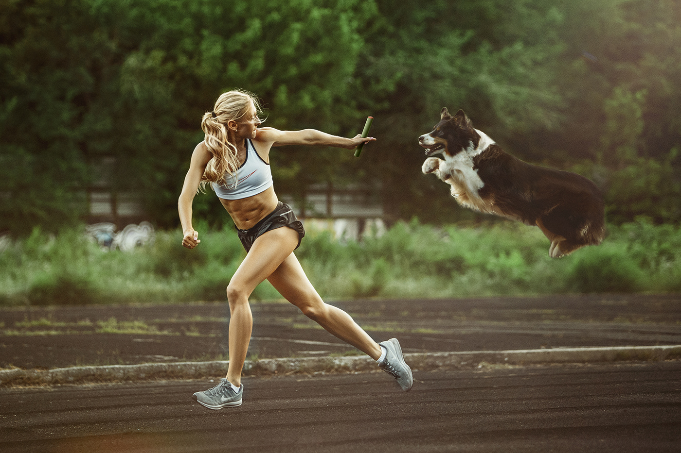 dog jump life OLIMPIC run sport training