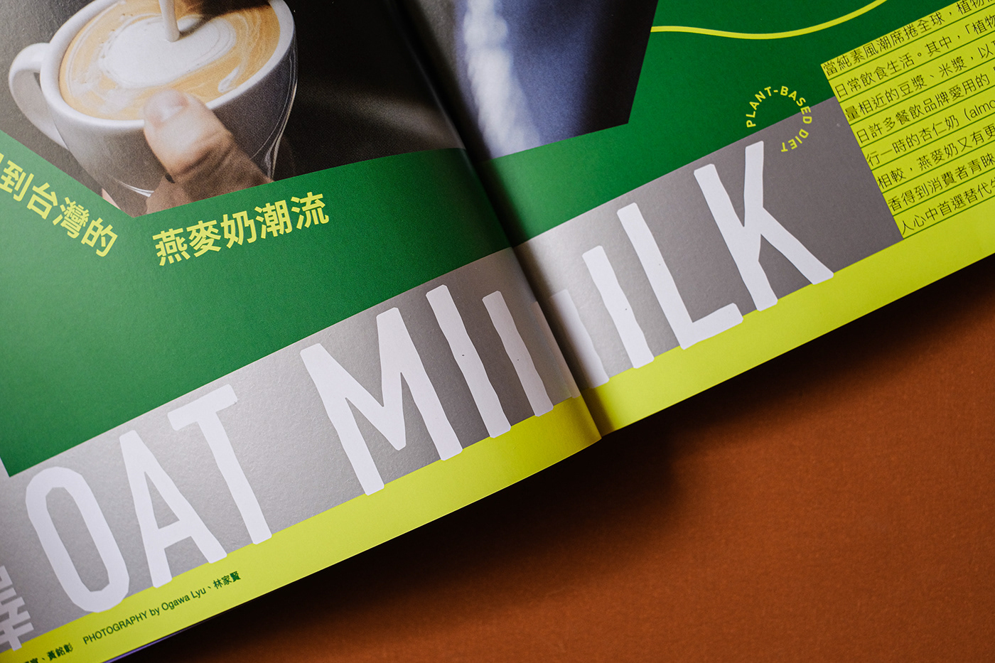 book brand identity editorial magazine print typography  