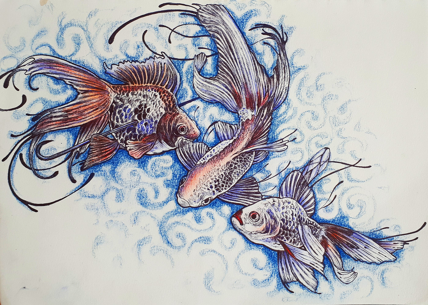 ILLUSTRATION  sketch fish Drawing 