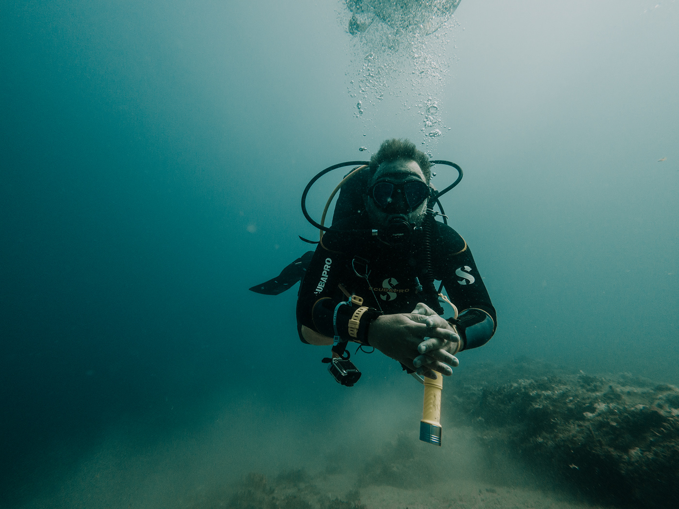 underwater UNDERWATER PHOTOGRAPHY scuba diving blue sea