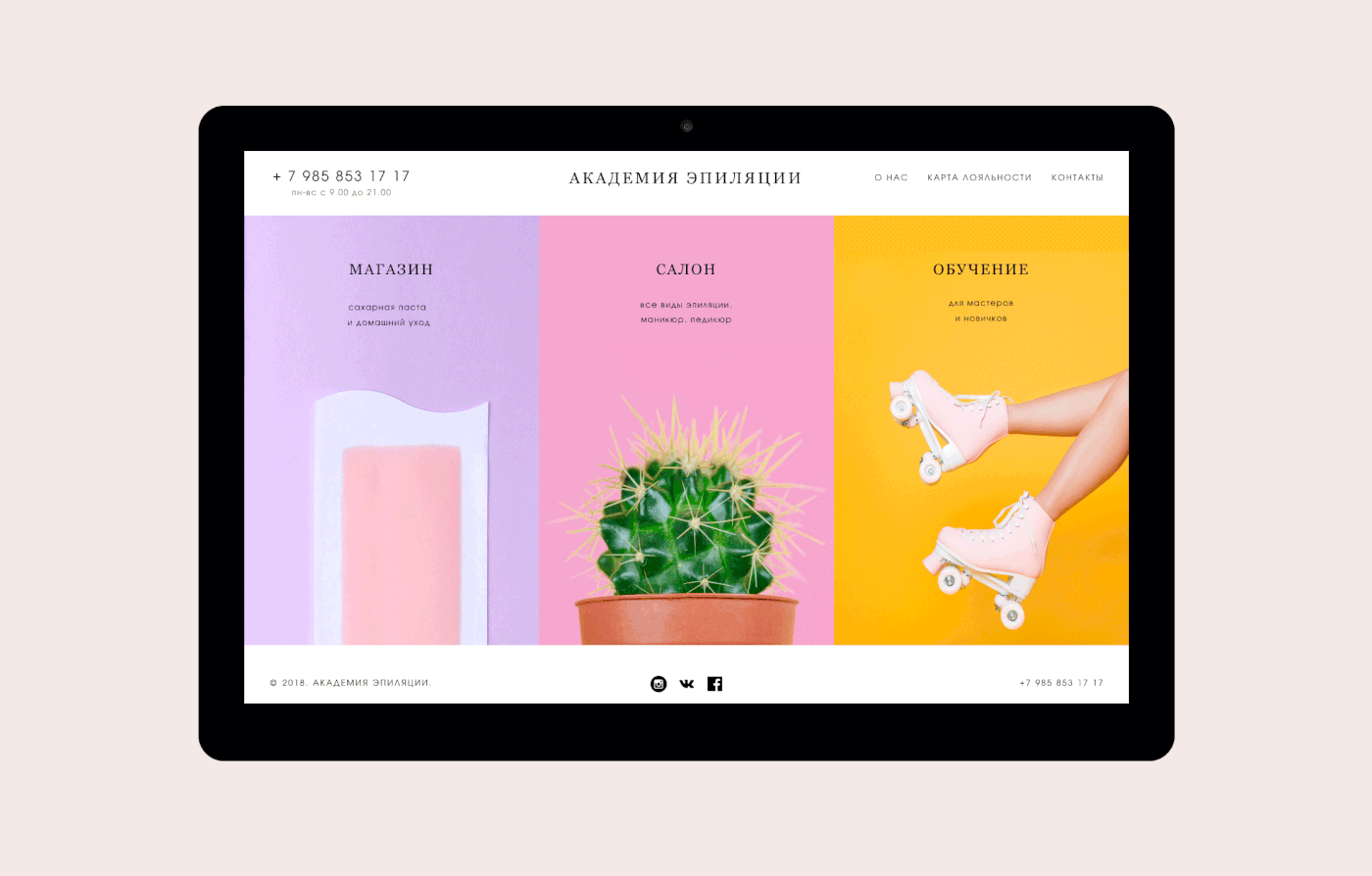 Web Design  salon website