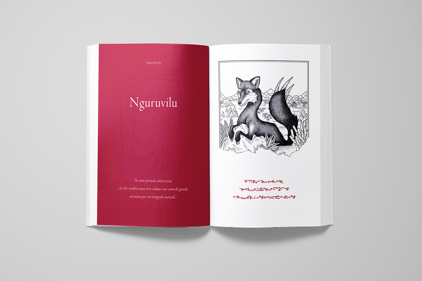graphic design  editorial design  ILLUSTRATION  thesis University Encyclopedia Drawing 