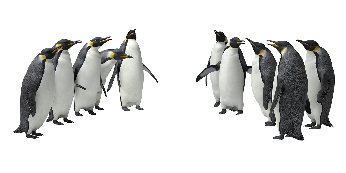 penguin ice Landscape Mattepainting animal Advertising  iceberg