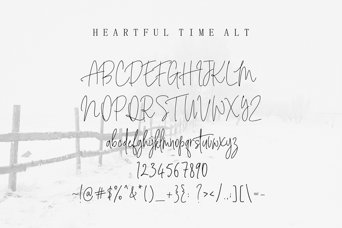 Script Font lettering font signature font beautiful font handwritten font modern font feminine font logo font sexy font classy font