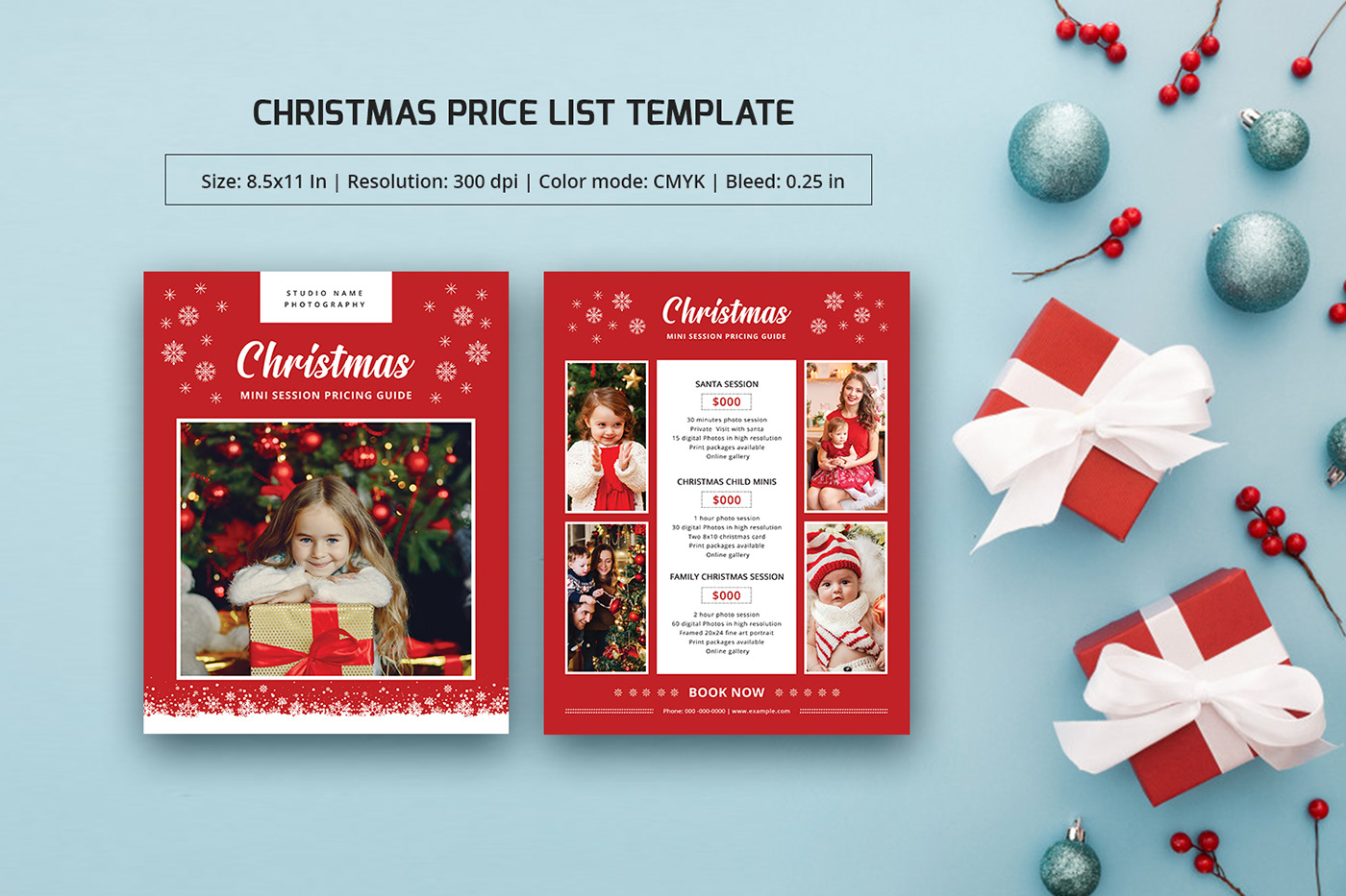 pricing guide Christmas price list