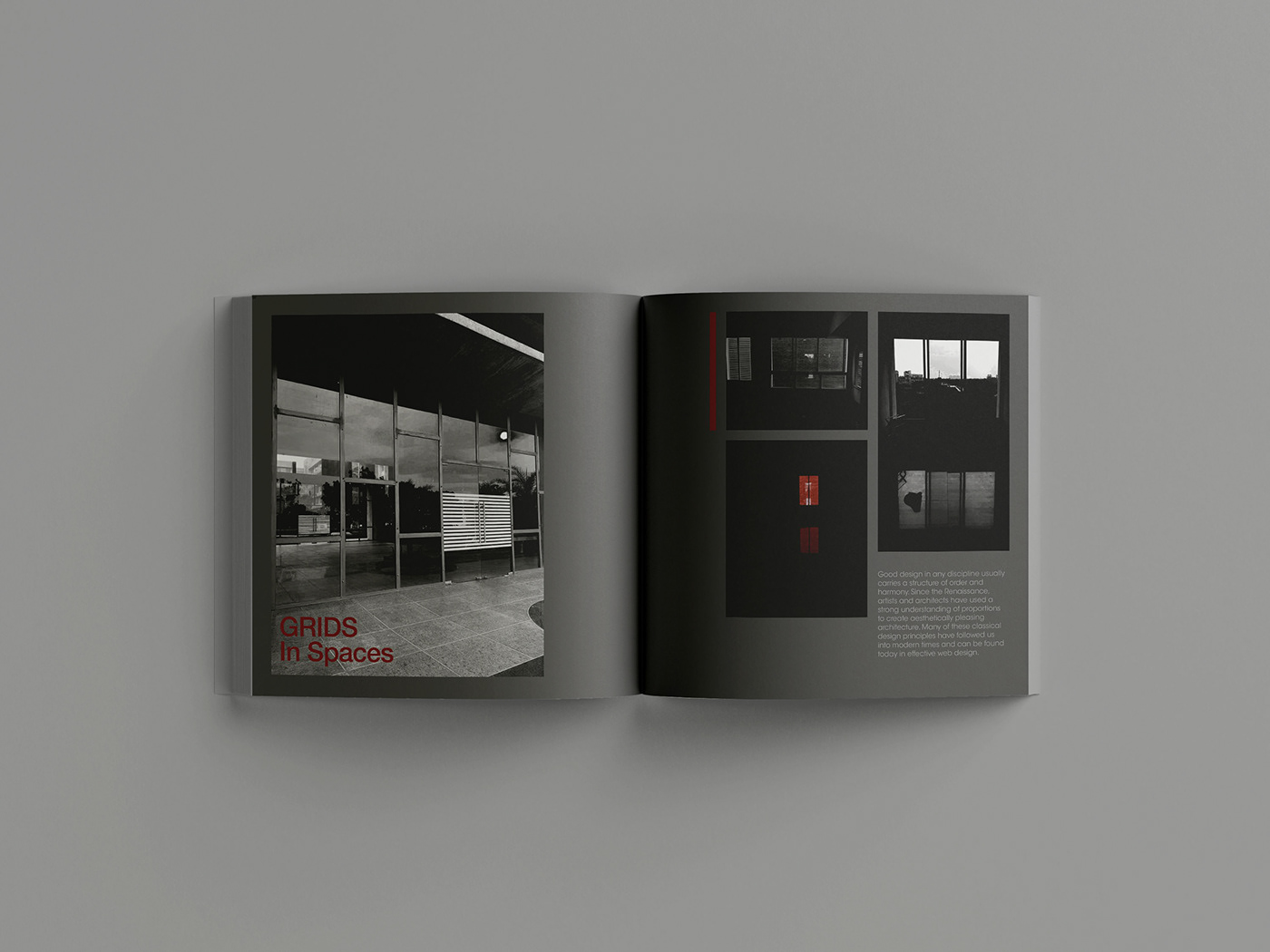 editorial design  graphic gridsystem InDesign Layout magazine minimal Photography  photoshoot typography  