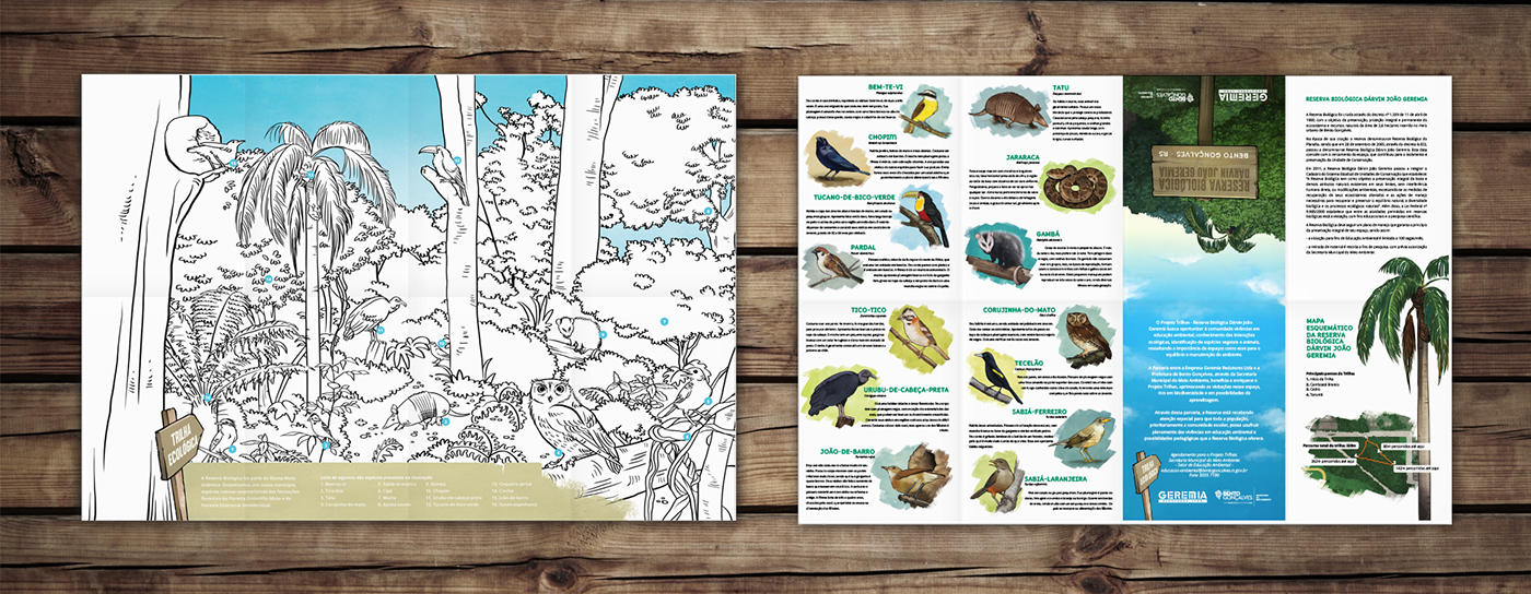 birds bird owl digital painting aves folder poster natural