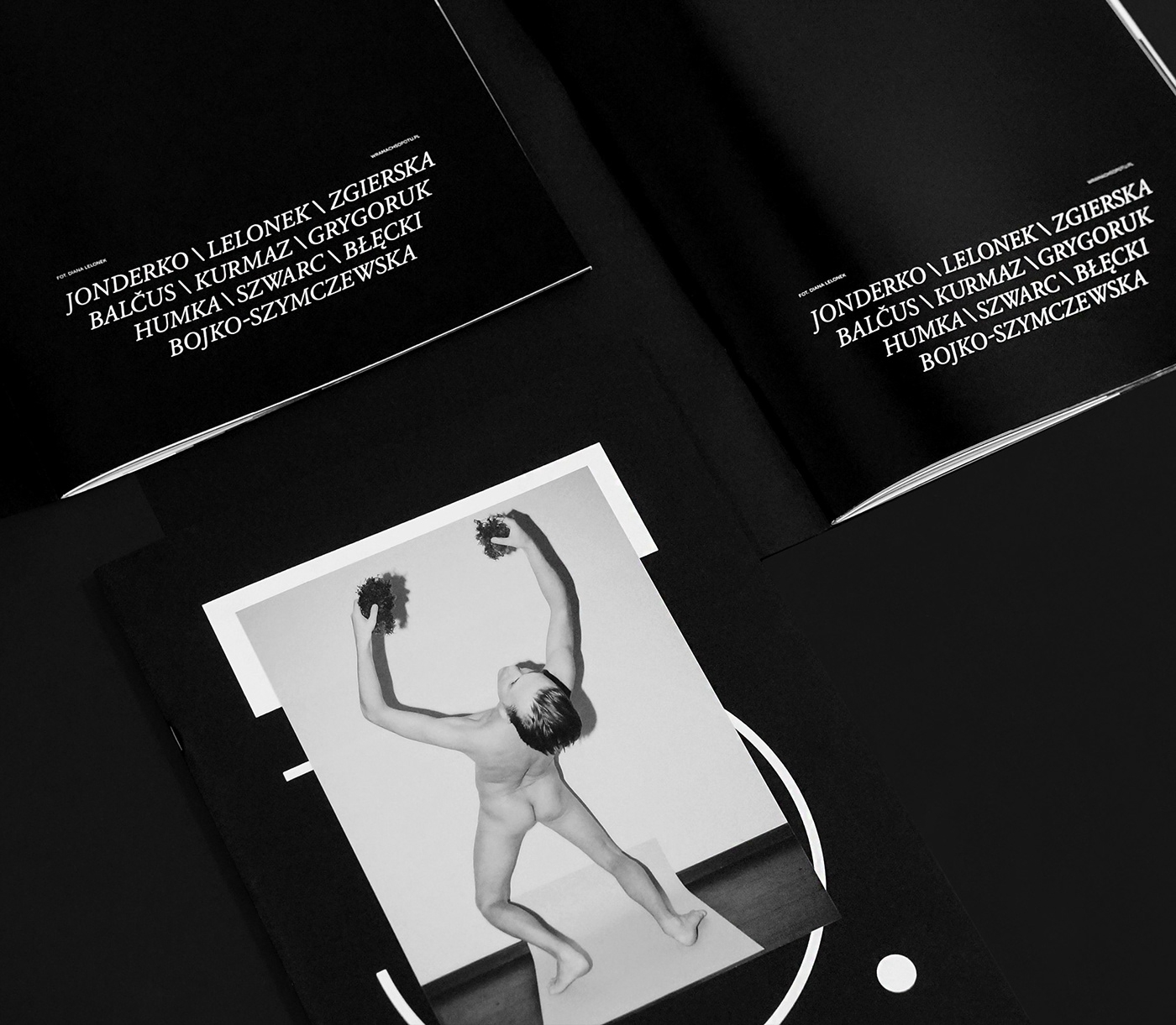festival minimal simple wedzicka Photography  identity Logotype sopot polishdesign