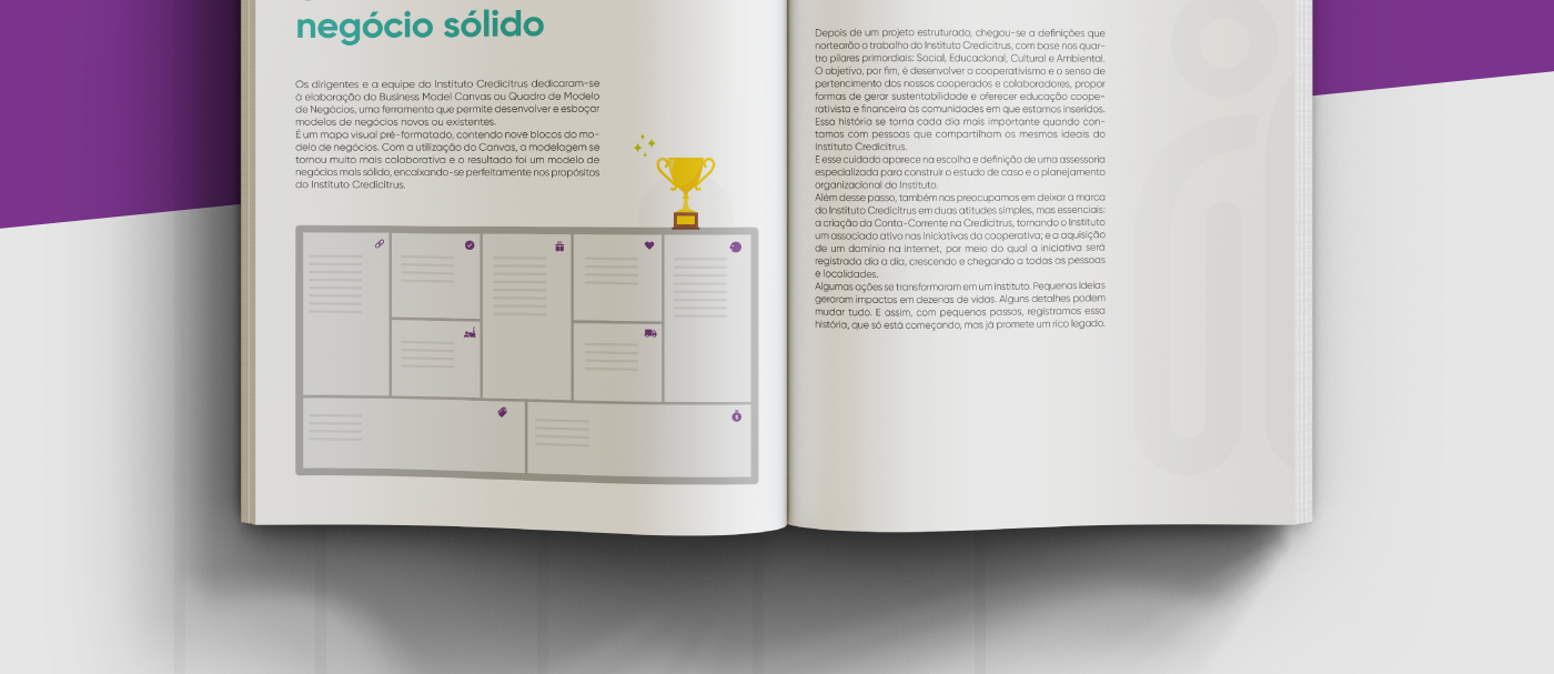 credicitrus InDesign report design graphic design  designer print sicoob editorial Layout