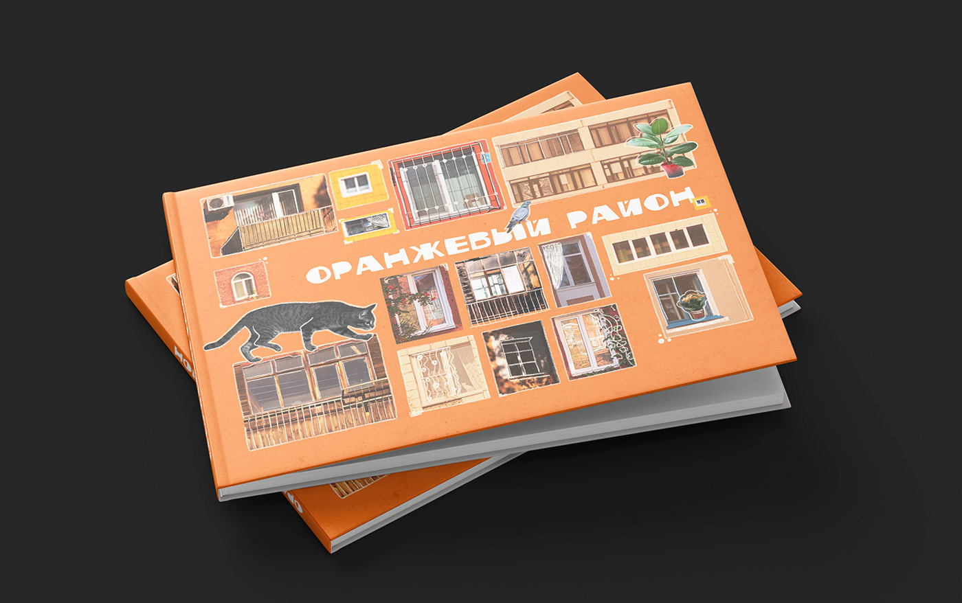 book house orange trees typography   windows книга о городе Омск промышленный уют