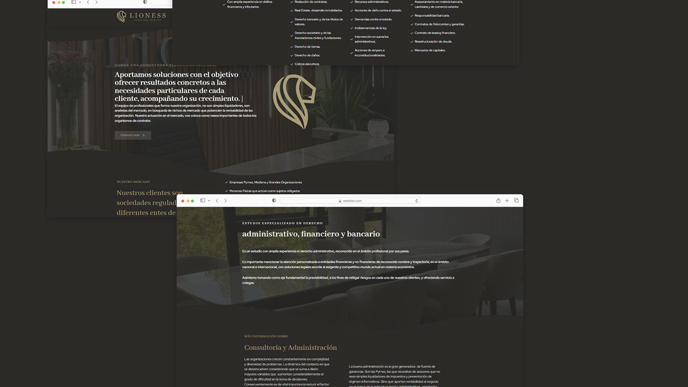 sitio web diseño grafico design visual identity