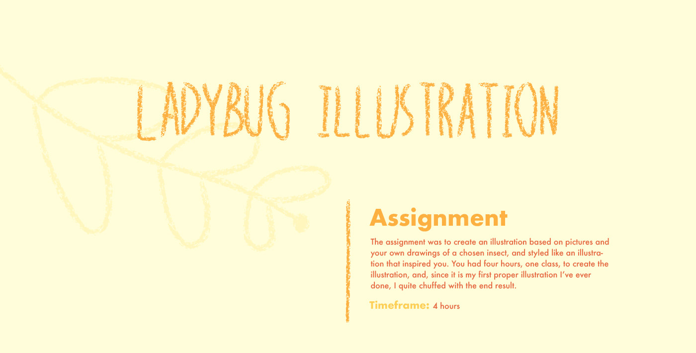 ladybug animals ILLUSTRATION  School assignment school assignment cute