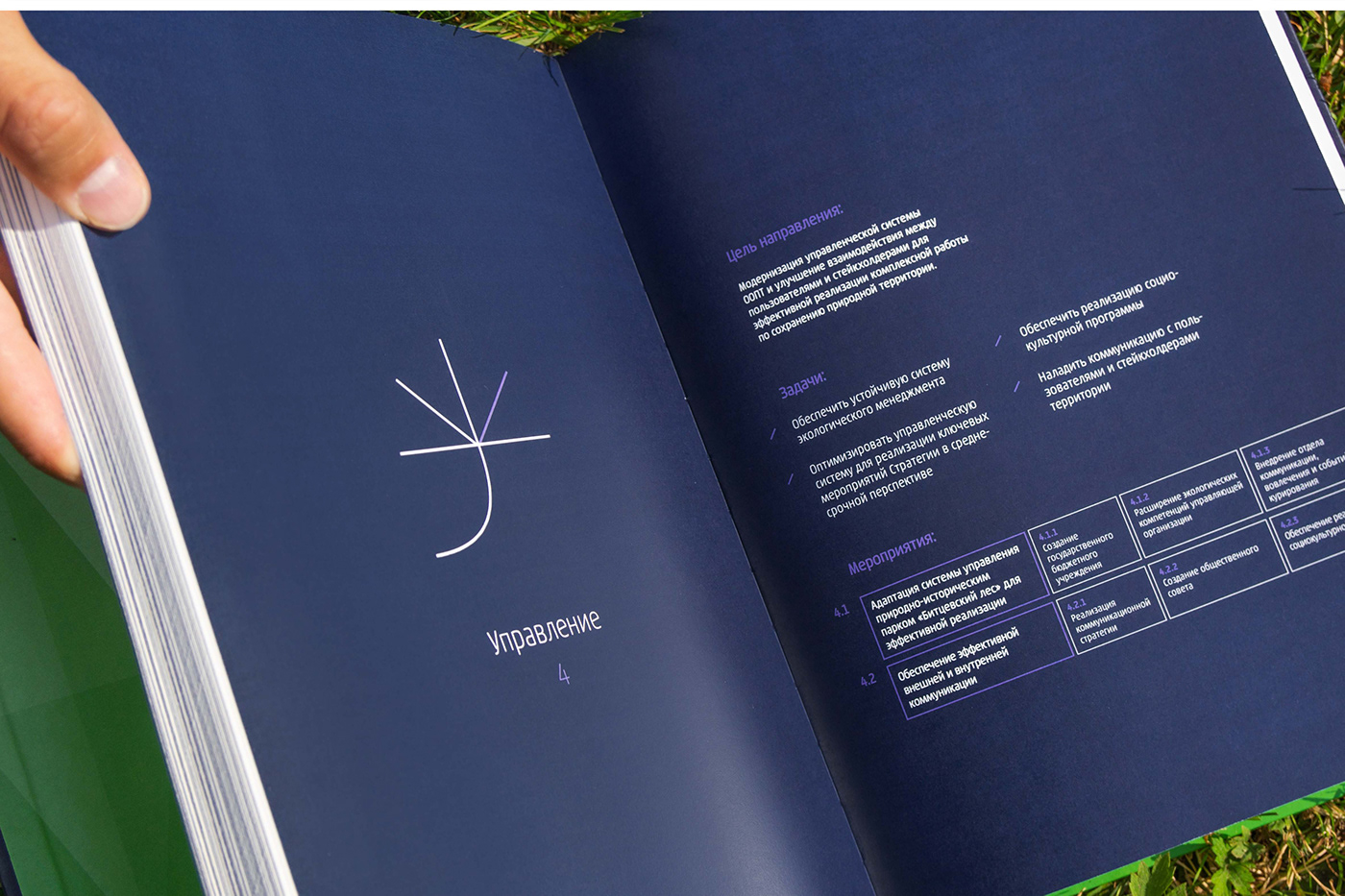 book design editorial forest InDesign infographic information design Landscape Layout Nature Park