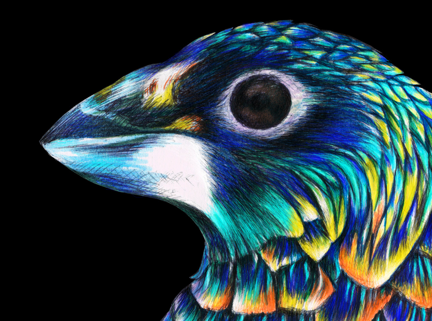 Details of illustration representing bird