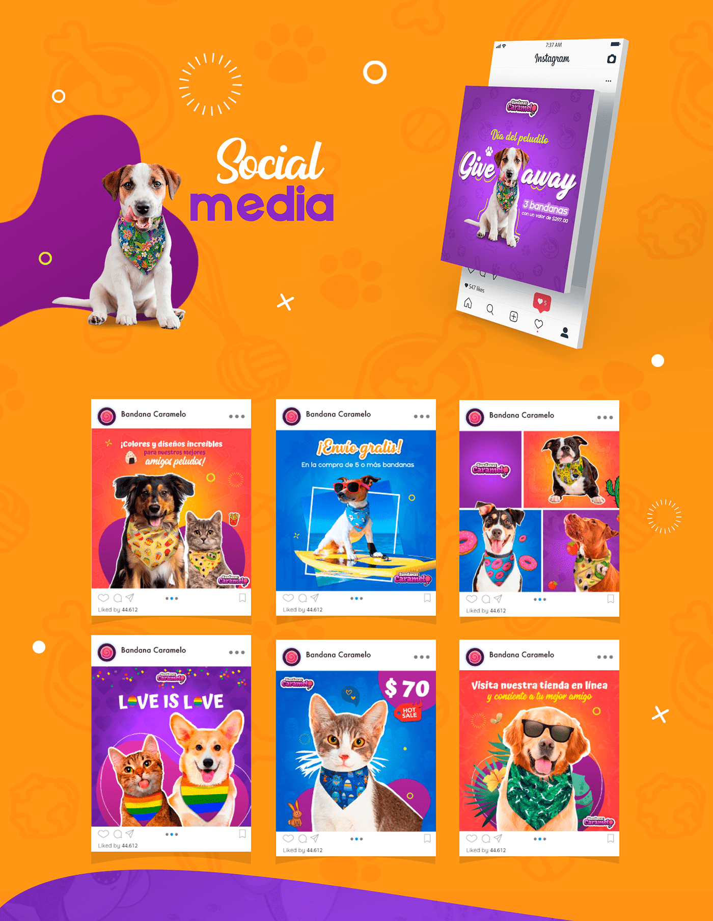 ads animal Bandana Cat dog Pet social media