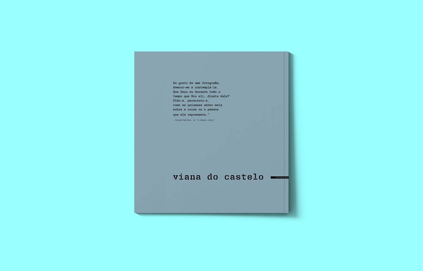 APDL edgar afonso viana do castelo design gráfico design editorial Portugal